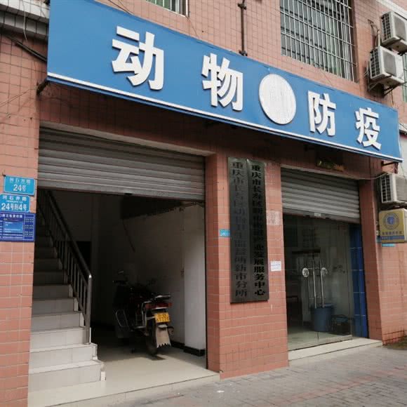 重庆市长寿区新市街道畜牧兽医站:重庆城区长寿区