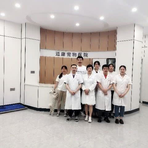 迈康宠物医院(双福店):重庆城区江津区