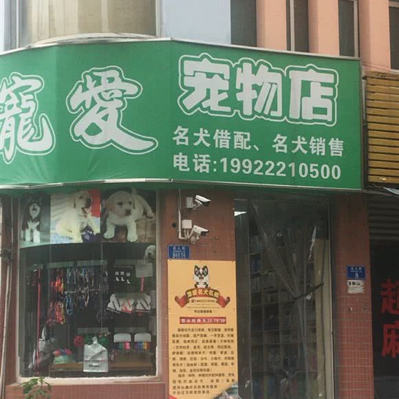 宠爱宠物店(名人街店):重庆城区合川区