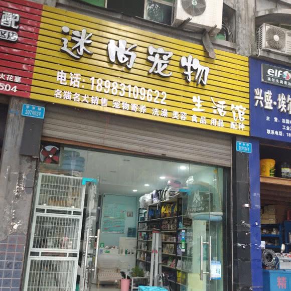 迷尚宠物生活馆:重庆城区璧山区
