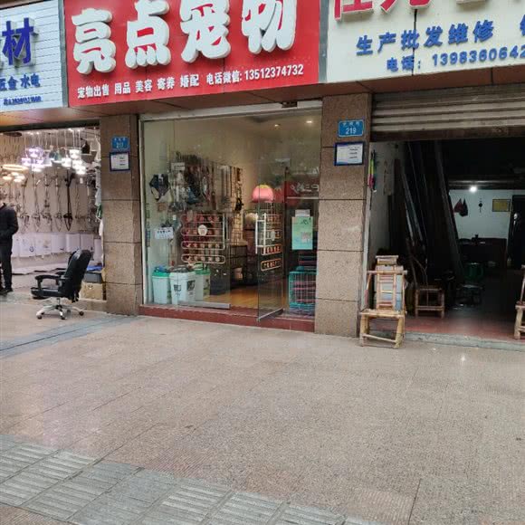 亮点宠物:重庆城区铜梁区