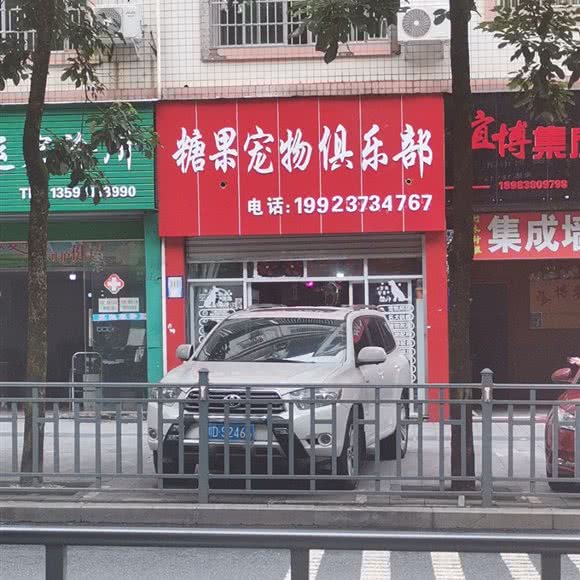 糖果宠物俱乐部:重庆城区铜梁区