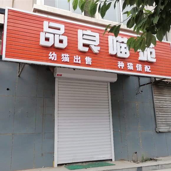 品良喵苑宠物店:沈阳市大东区大东广场附近