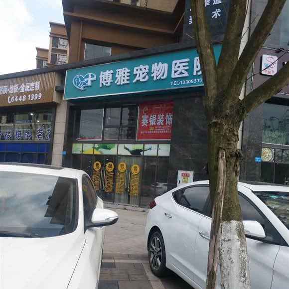 博雅宠物医院:重庆城区潼南区