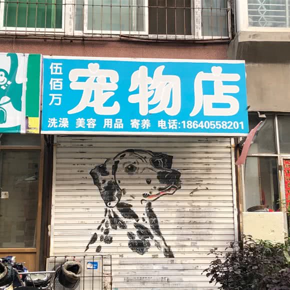 伍佰万宠物店:沈阳市大东区大东广场附近