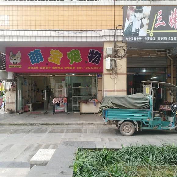 萌宝宠物狗:重庆城区荣昌区