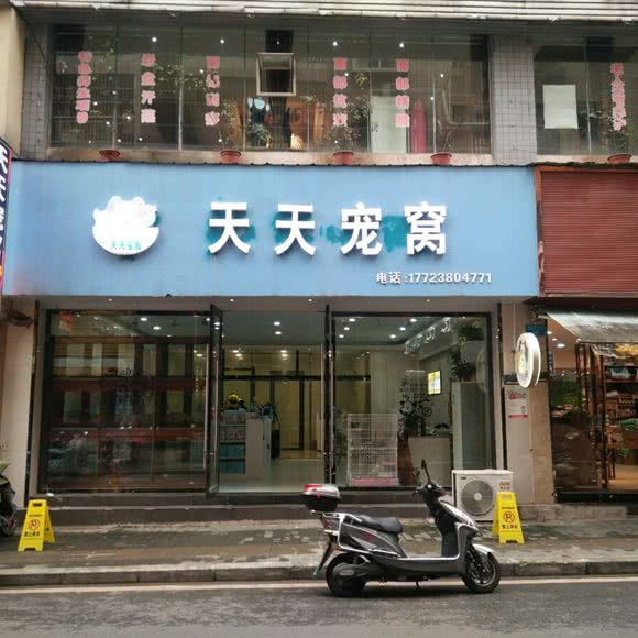 天天宠窝:重庆城区开州区