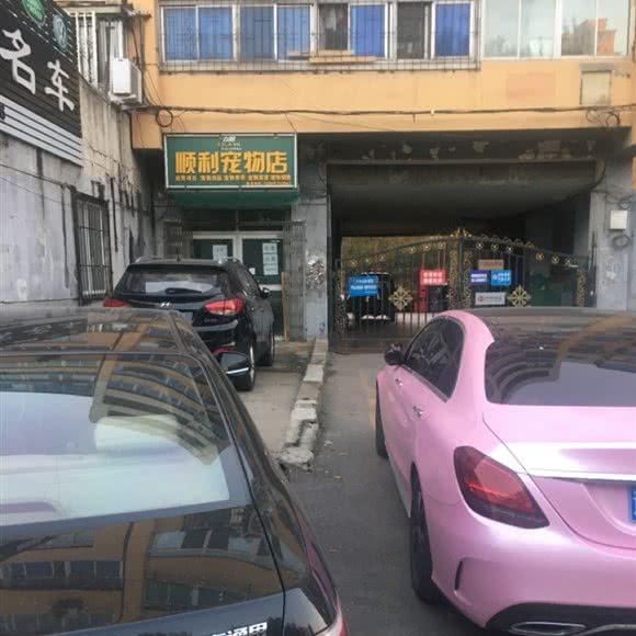 顺利宠物店:沈阳市大东区大东广场附近