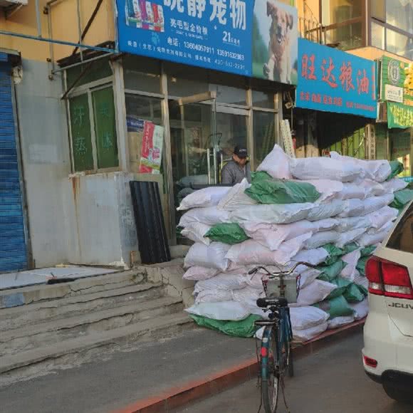 晓静宠物:沈阳市大东区大东广场附近