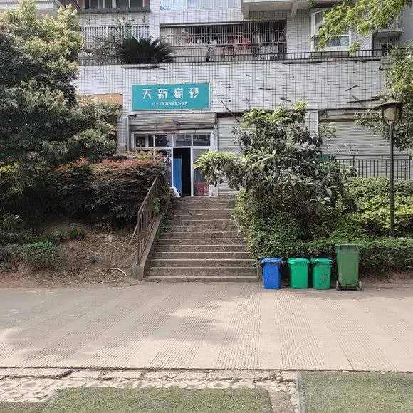 天新猫砂:成都市锦江区