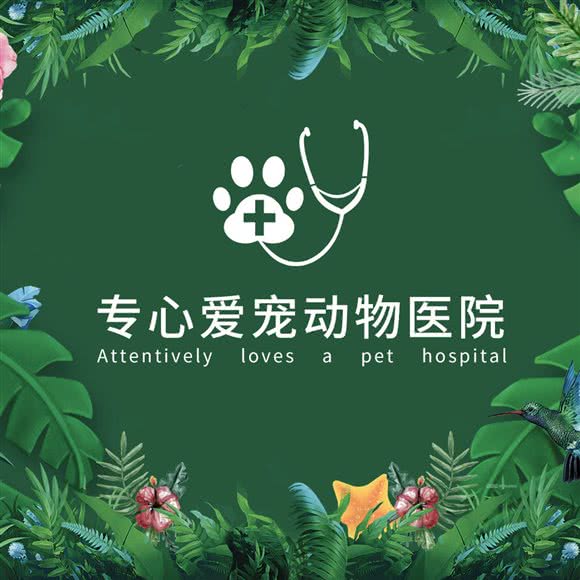 专心爱宠动物医院24小时:成都市金牛区