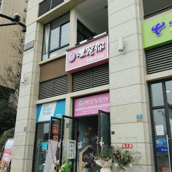 嘿宠你宠物生活馆:成都市成华区