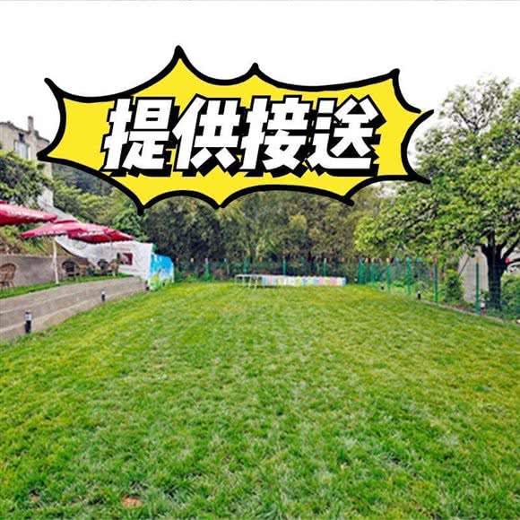 三只小狗宠物乐园:成都市龙泉驿区
