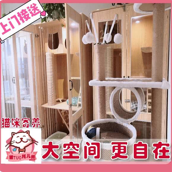 猫TUO托儿所:成都市龙泉驿区