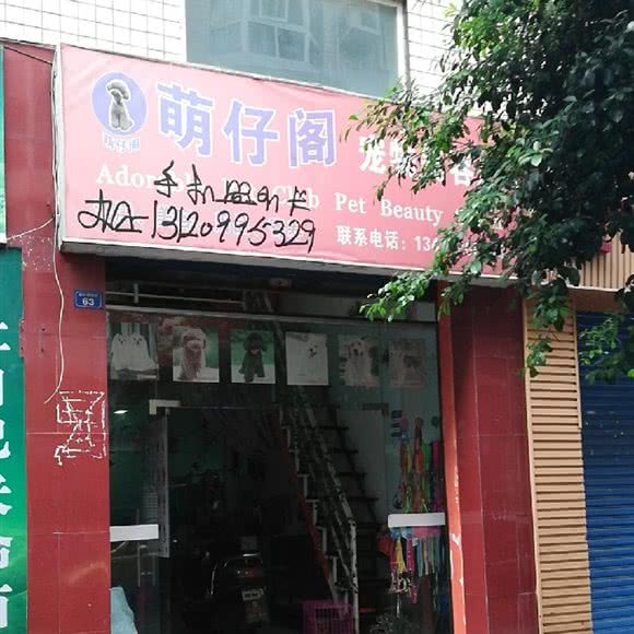 萌仔阁宠物美容店:成都市龙泉驿区