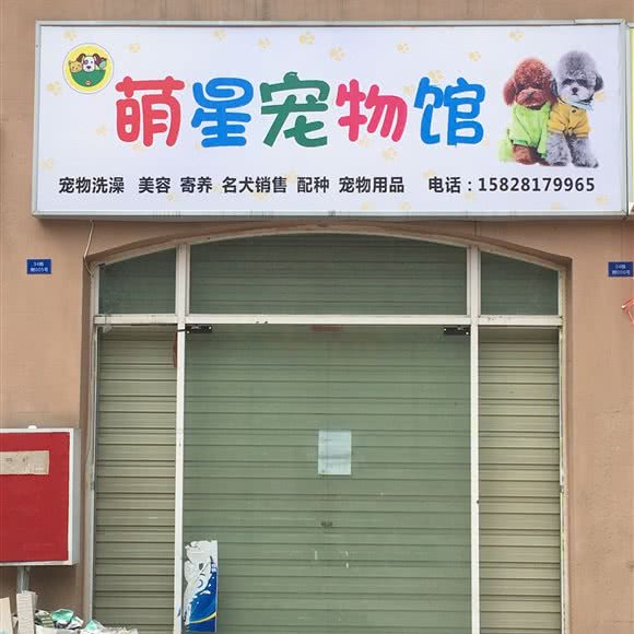萌星宠物馆:成都市新都区
