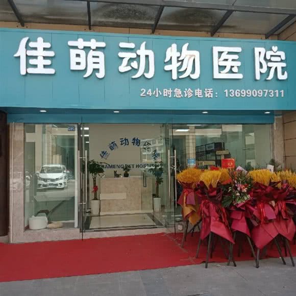 佳萌动物医院:成都市新都区