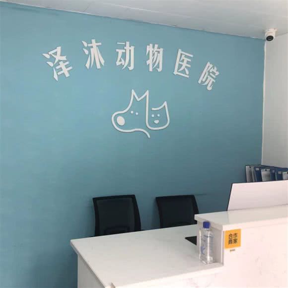 泽沐动物医院:成都市新都区