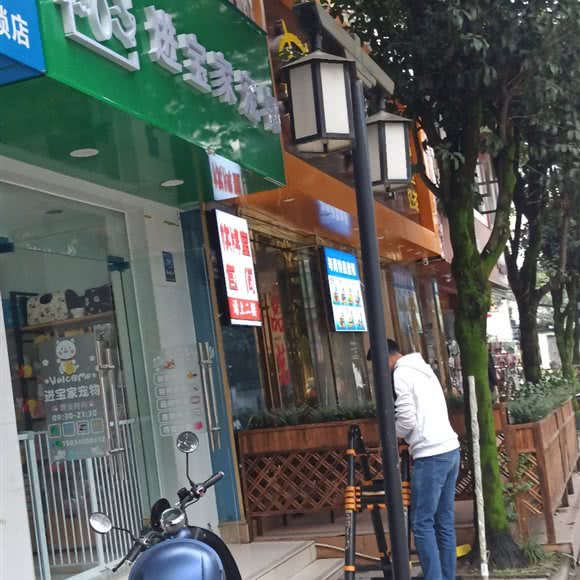 进宝家宠物:成都市温江区