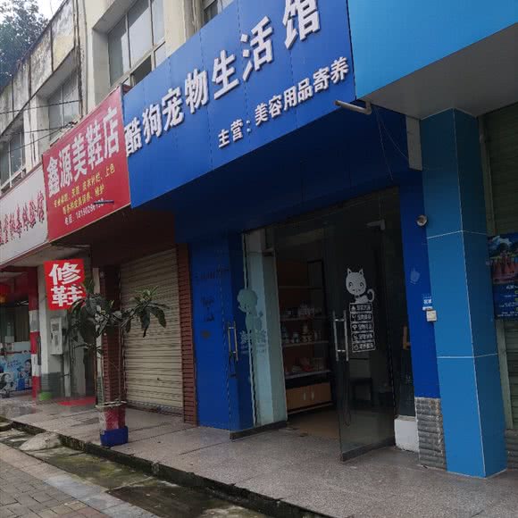 酷狗宠物生活馆:成都市温江区