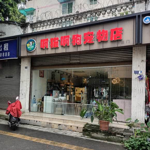 啊猫真是狗宠物店:成都市温江区