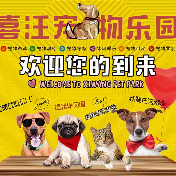 喜汪宠物寄养乐园(温江店):成都市温江区