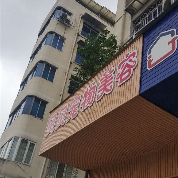 贝贝宠物美容(广都大道一段):成都市双流区
