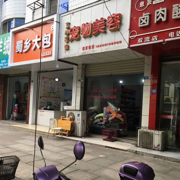 艾心琴缘宠物美容:成都市双流区