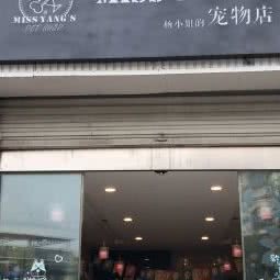 杨小姐的宠物店:成都市双流区
