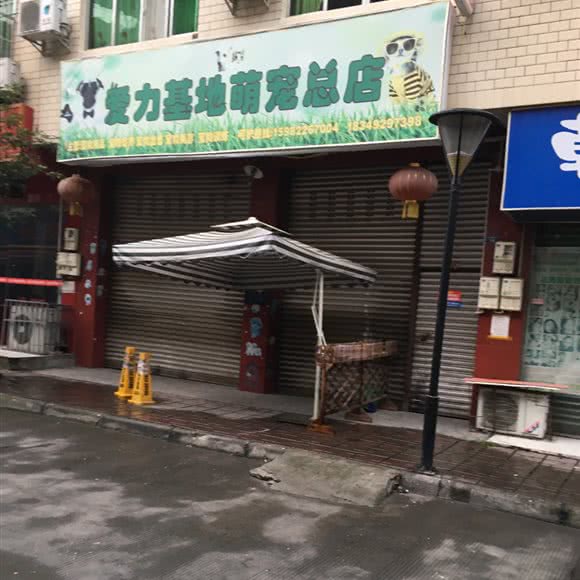 爱力基地(萌宠宠物店):成都市双流区
