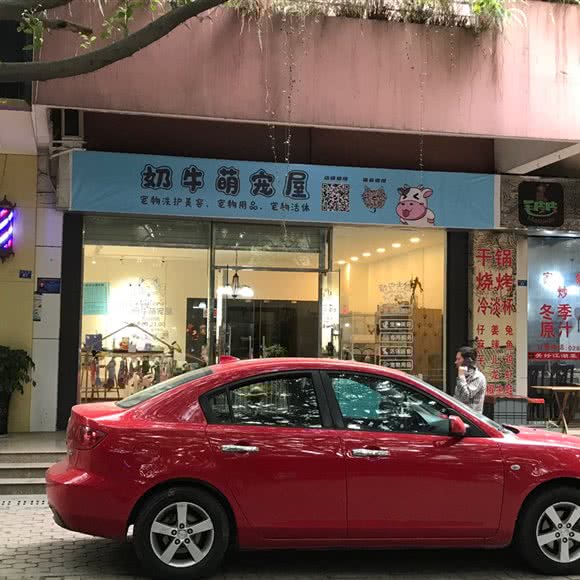 奶牛萌宠屋:成都市双流区