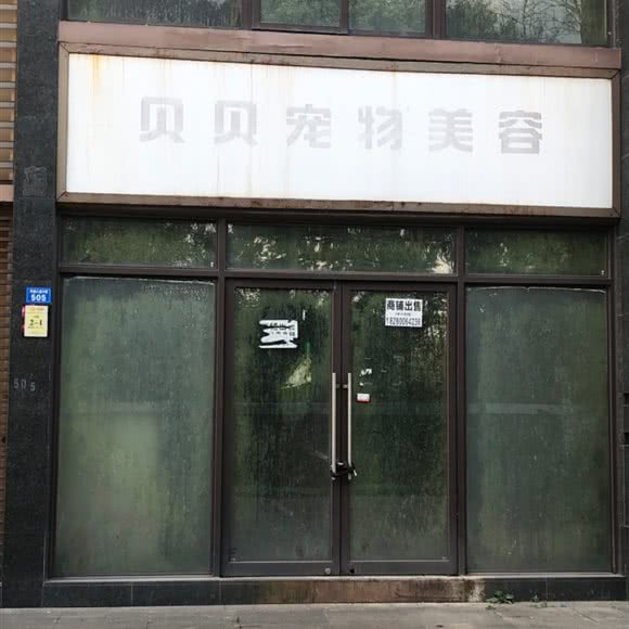 贝贝宠物美容(双楠大道二段):成都市双流区