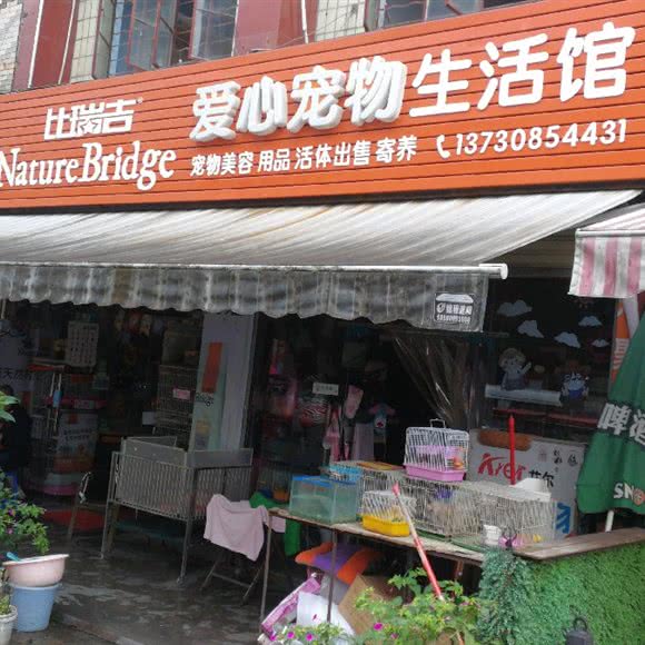爱心狗狗生活馆:成都市双流区
