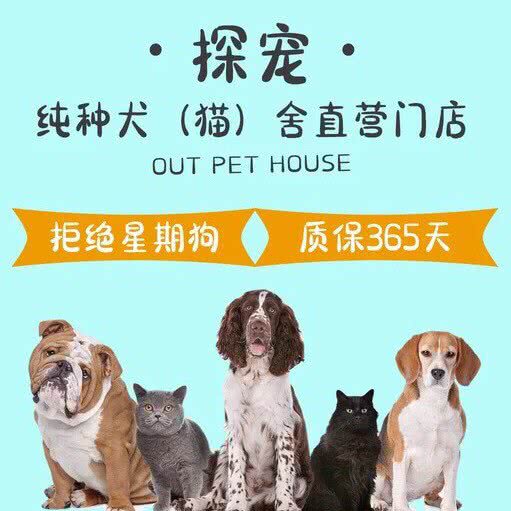 心宠优选:成都市双流区