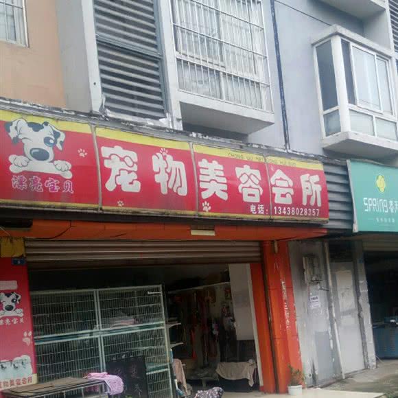 漂亮宝贝宠物美容会所(白衣上街南三段):成都市双流区