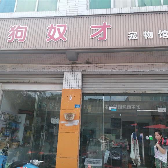 狗奴才宠物馆:成都市双流区