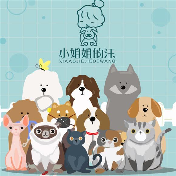 夏洛可可咖啡店:成都市双流区
