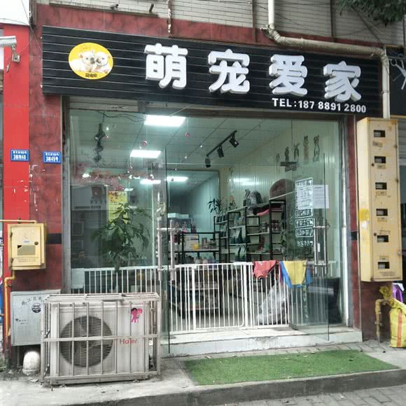 萌宠爱家:成都市双流区