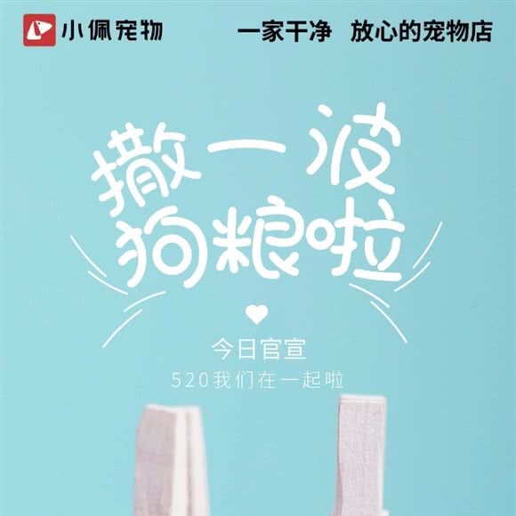 PETKIT小佩狗狗:成都市双流区