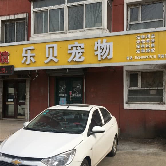 乐贝宠物:沈阳市大东区吉祥市场附近