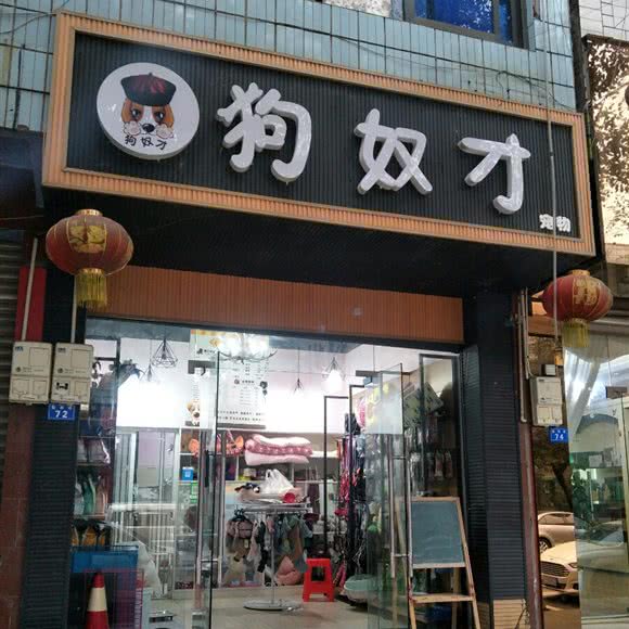 狗奴才宠物:成都市双流区