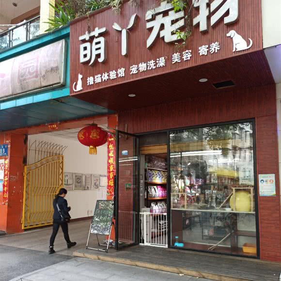 萌丫宠物狗:成都市双流区