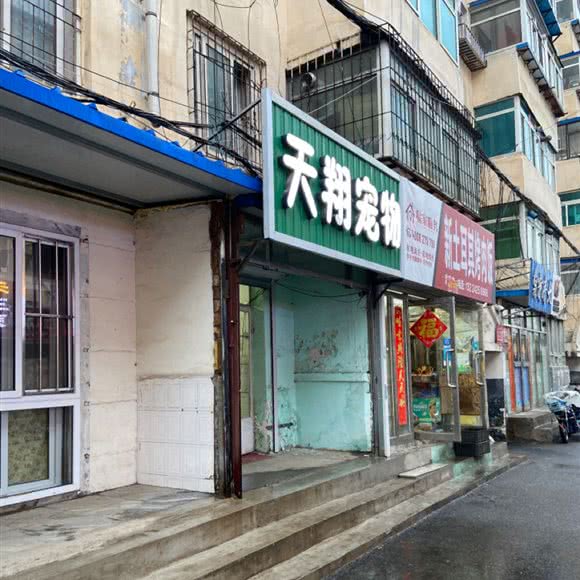 天翔宠物:沈阳市大东区吉祥市场附近
