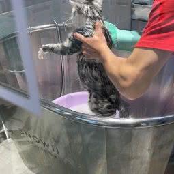 PETKIT小佩宠物:成都市双流区