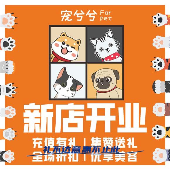 宠兮兮宠物:成都市双流区