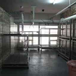 皇朝宠物:沈阳市大东区吉祥市场附近