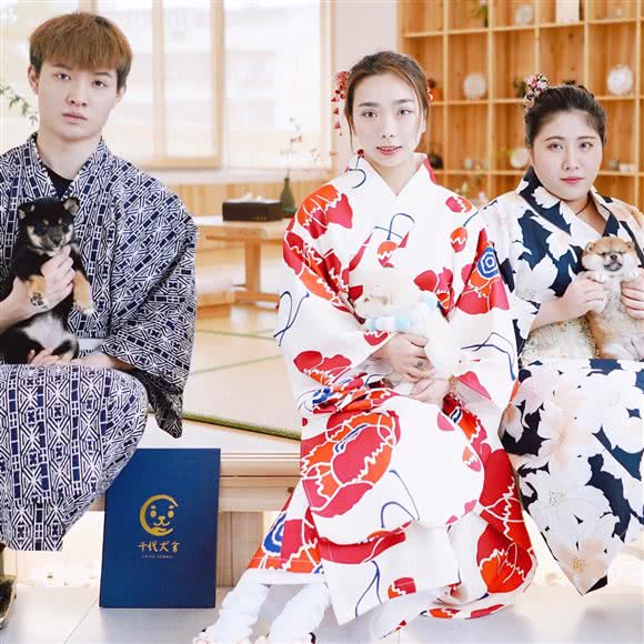 千代柴犬舍:成都市双流区