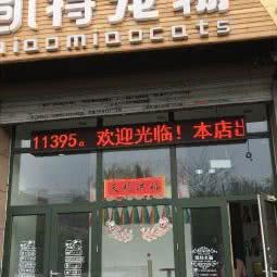 凯特宠物(大东店):沈阳市大东区吉祥市场附近