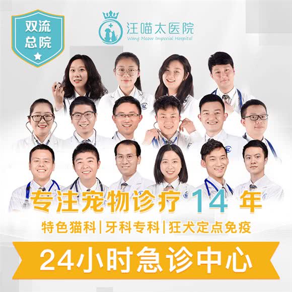 汪喵太医院(24小时急重症转诊中心):成都市双流区