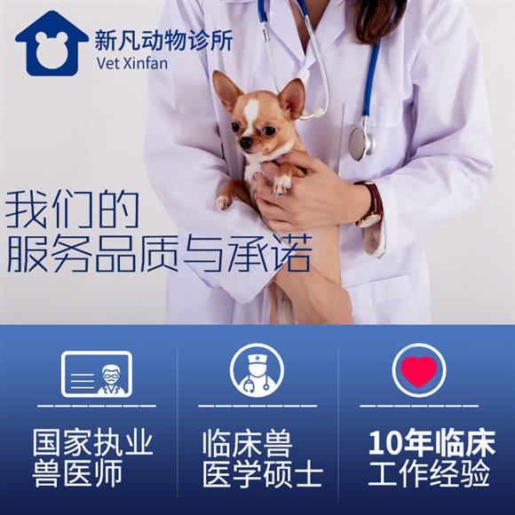 新凡动物诊所(中和分院):成都市双流区